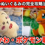 【クレーンゲーム】ちいかわ・ウラヤハボウズBIGぬいぐるみとヒトカゲぬいぐるみを攻略４選！