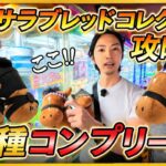 新作サラブレッドコレクション完全攻略!!この方法知っていると超簡単にGET出来ます!!