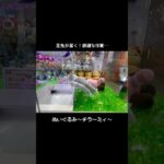 【繊細プレー】小チラーミィGET！！　　#ポケットモンスター #ポケモン #pokemon #ぬいぐるみ #クレーンゲーム