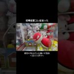 【コレほんと!?】まさかの設定でビリリダマGET！！　#ポケットモンスター #ポケモン #pokemon #ぬいぐるみ #クレーンゲーム