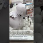 【ちいかわ】モモンガのクッションをGET！取り方のコツも少し紹介｜クレーンゲーム #shorts