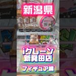【新潟】フィギュアがお得にGETできる激ヤバゲーセンに来た #shorts #クレーンゲーム #ufoキャッチャー #フィギュア  #新潟 #橋渡し