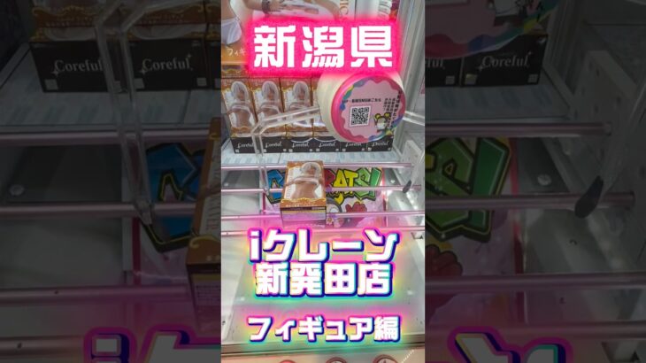 【新潟】フィギュアがお得にGETできる激ヤバゲーセンに来た #shorts #クレーンゲーム #ufoキャッチャー #フィギュア  #新潟 #橋渡し