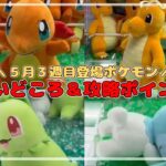 【自力GETのコツ】カイリュー・ヒトカゲ・チコリータ・クマシュンを確実にGETしよう！！　#ポケットモンスター #ポケモン #pokemon #ぬいぐるみ #クレーンゲーム