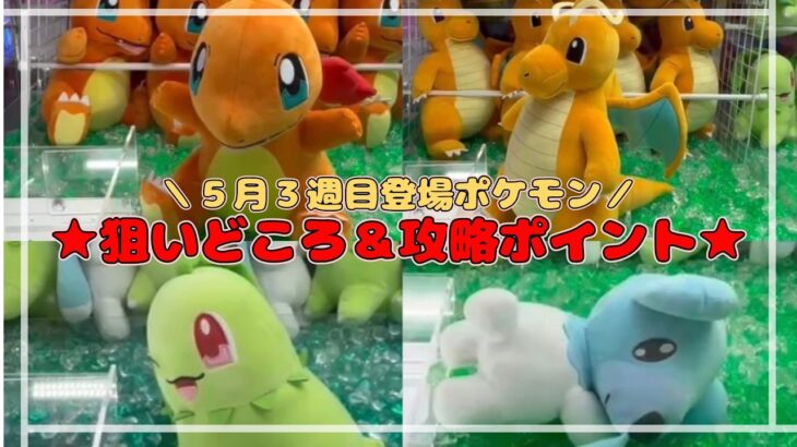 【自力GETのコツ】カイリュー・ヒトカゲ・チコリータ・クマシュンを確実にGETしよう！！　#ポケットモンスター #ポケモン #pokemon #ぬいぐるみ #クレーンゲーム