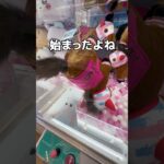 GIGOで裏ワザで乱獲してみた#UFOキャッチャー #クレーンゲーム  #ゲームセンター #攻略 #shorts  #youtubeshorts