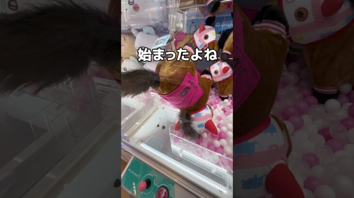 GIGOで裏ワザで乱獲してみた#UFOキャッチャー #クレーンゲーム  #ゲームセンター #攻略 #shorts  #youtubeshorts