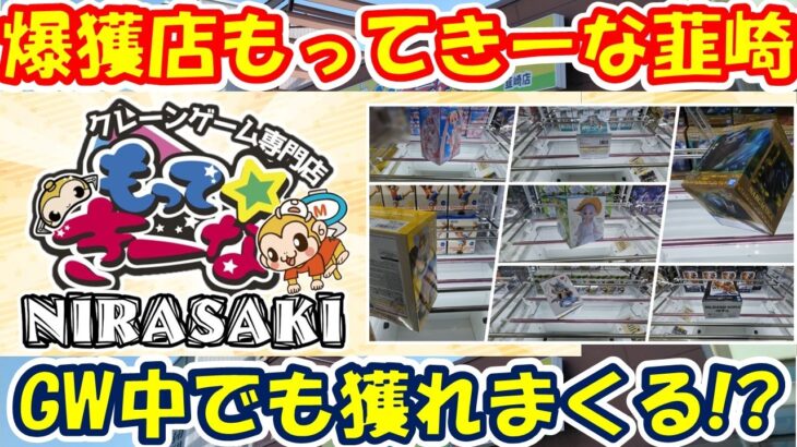 【クレーンゲーム】【倉庫系】爆獲店 #もってきーな韮崎 でGWの設定を調査したら!? #初音ミク #亀仙人 #モンハン #イレイナ #フリーレン #ロマンスドーン  #夜神月 #ナナチ #喜多川海夢