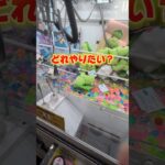 GWの思い出に子供にプレゼント🎁皆さんはどこで思い出作りました？#クレーンゲーム #ufoキャッチャー #ゲームセンター #クレーンゲーム攻略  #確率無視