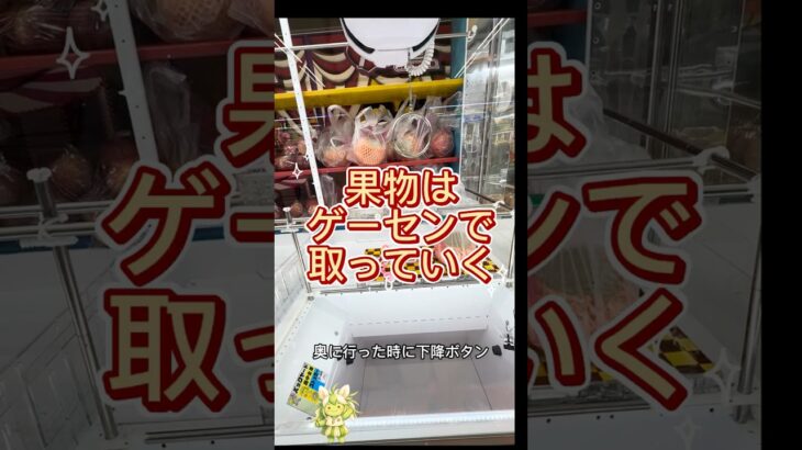 【クレーンゲーム】Iクレーン越谷店で食材調達#フック設定# #クレーンゲーム #Iクレーン#越谷店#メロン