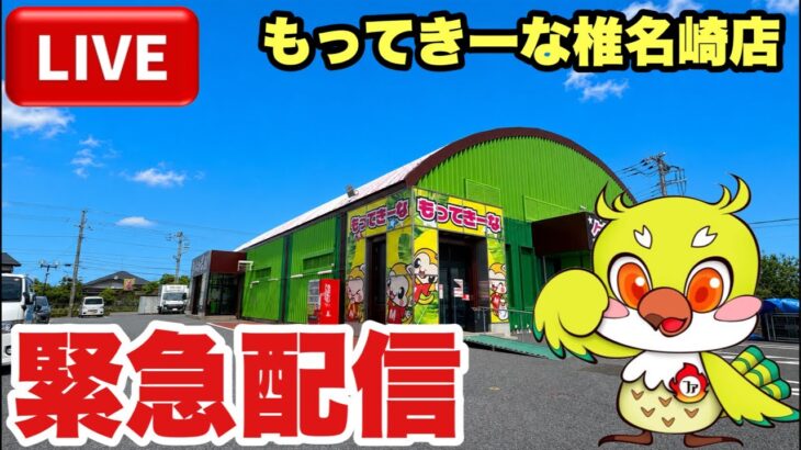 【クレーンゲームLIVE】オープン予定のもってきーな椎名崎店から緊急配信！