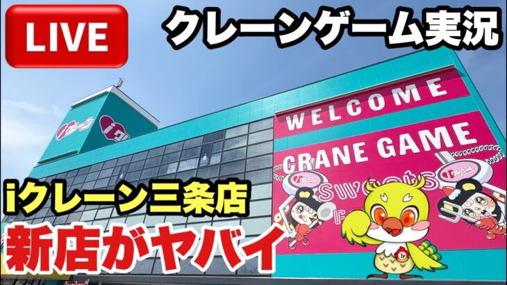 【クレーンゲームLIVE】新店がヤバイ！グランドオープンしたiクレーン三条店から生配信！クレーンゲーム実況