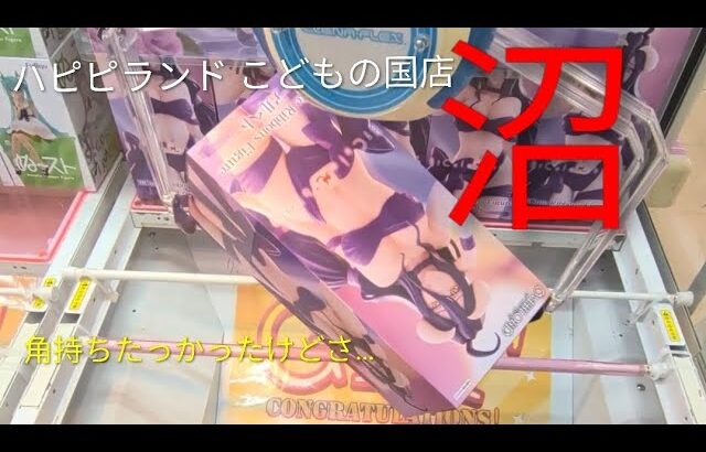 沼回“バーがスベスベなのか、箱がスベスベなのか、動画がスベるのか？”「NO編集NO実力で逝くクレゲ」【ハピピランド こどもの国店】