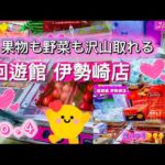【回遊館♥️伊勢崎店No.4】果物も野菜も沢山取れてヤバすぎるお店✨✨✨