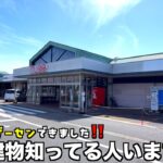富山県にOPENしたゲーセンがほぼ100円で取れまくりで赤字丸出しだったww【クレーンゲーム／UFOキャッチャー】