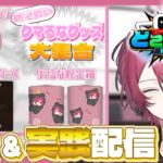 【どこキャ祭】どこでもキャッチャーを実際に遊んでみよ～‼️✨【#PR #第18回どこキャ祭neo 】