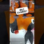 【クレーンゲーム】ポカブどう攻略？？👈　#ポケモン#Pokemon#クレーンゲーム#ポカブ#新作#最新#ぬいぐるみ#グッズ#プライズ#UFOキャッチャー#攻略法#進化前#ポケ#取り方