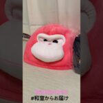 【📍ROUND1  お宝市番館小牧】#ufoキャッチャー #クレーンゲーム景品 #クレーンゲーム動画 #クレーンゲーム#GET品#クレーンゲーム攻略#夾娃娃店#和室からお届け #ROUND1