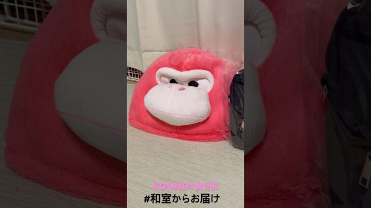 【📍ROUND1  お宝市番館小牧】#ufoキャッチャー #クレーンゲーム景品 #クレーンゲーム動画 #クレーンゲーム#GET品#クレーンゲーム攻略#夾娃娃店#和室からお届け #ROUND1