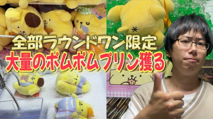 【サンリオ】ラウンドワン限定ポムポムプリンプライズ全種獲るのにいくらかかる？たくさんの最推し景品をお迎え!!【Sanrio/プリンのハッピールーティン/クレーンゲーム】