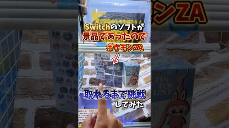 【ゲーセン】Switchのソフトがクレーンゲームにあったので取れるまで挑戦してみた💸