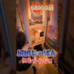 Switch2出るまで1000円ガチャやった結果 14