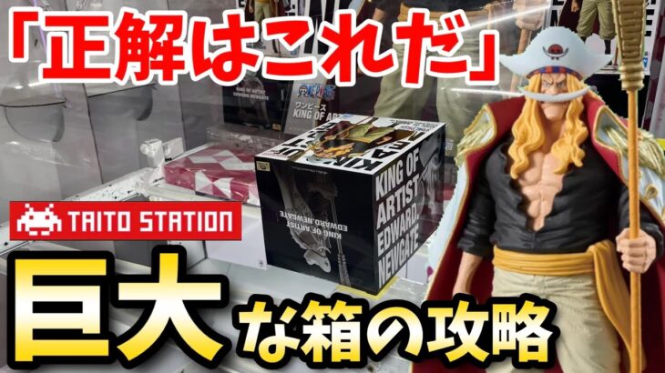 正解はこれだ！ TAITOでデカ箱白ひげに挑戦してみた結果