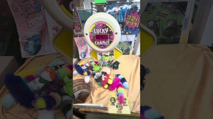 【TAITO】カプリーナをプレイ #クレーンゲーム #UFOキャッチャー #カプリーナ #カプリチオ #レトロゲーム