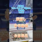【クレーンゲーム】犬夜叉 Trio-Try-iT Figure 殺生丸 vol.2 橋渡し設定 参考動画 お宝発見 #クレーンゲーム #ufoキャッチャー #クレゲ #ゲームセンター #ゲーセン
