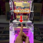 この方法でフック設定大乱獲だ‼️ #ゲーセン #ゲームセンター#けUFOキャッチャー #攻略#オガトゥーン