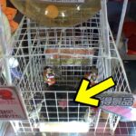 高額フィギュアが取れる簡単設定のたこやきキャッチャー【クレーンゲーム／UFOキャッチャー】