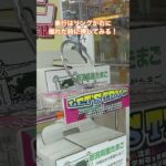 デカリング攻略 ！？✨️【クレーンゲーム】#クレーンゲーム #UFOキャッチャー #デカリング #ゲームセンター   #iクレーン三条店  #攻略 #取り方 #コツ #クレゲ #三条店