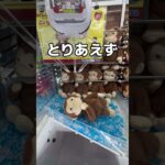 おさるのジョージ大作戦#UFOキャッチャー #クレーンゲーム  #ゲームセンター #攻略 #shorts  #youtubeshorts