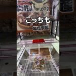 落ちるのか、落ちないのか、どっちなんだい！#UFOキャッチャー #クレーンゲーム  #ゲームセンター #攻略 #shorts  #youtubeshorts