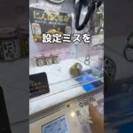 設定ミスを見つけたので乱獲してみた#UFOキャッチャー #クレーンゲーム  #ゲームセンター #攻略 #shorts  #youtubeshorts