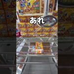 コバエホイホイを取ってみた#UFOキャッチャー #クレーンゲーム  #ゲームセンター #攻略 #shorts  #youtubeshorts