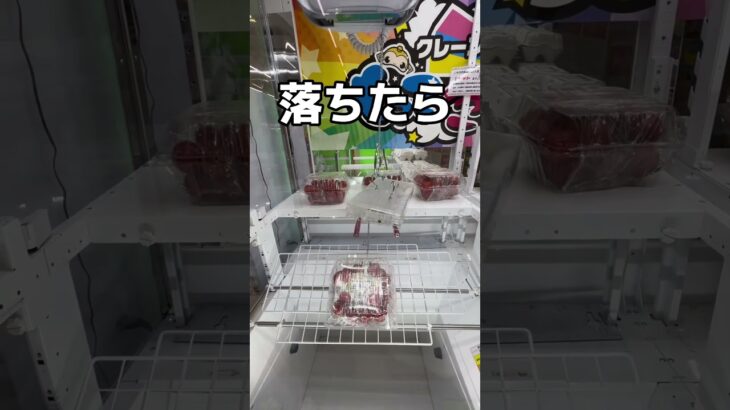 巨大エビフライ取ってみた#UFOキャッチャー #クレーンゲーム  #ゲームセンター #攻略 #shorts  #youtubeshorts