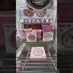 強烈な顔のお皿を乱獲してみた#UFOキャッチャー #クレーンゲーム  #ゲームセンター #攻略 #shorts  #youtubeshorts