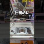 手作り焼きそば取ってみた#UFOキャッチャー #クレーンゲーム  #ゲームセンター #攻略 #shorts  #youtubeshorts
