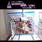 ♪のんびりオンクレ、なんか(　ﾟдﾟ)ｸﾚ!! #clawmachine #オンクレ #クレーンゲーム #ゲット