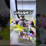 【脳汁崩壊】今週の神回収がエグすぎた…🧠💦 クレーンゲーム好きならこの快感、わかるはず。#clawmachine #shorts #攻略 #クレーンゲーム #ufoキャッチャー