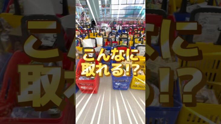 【クレーンゲーム】新潟で話題のiクレーン三条店がガチで取れすぎた…🔥