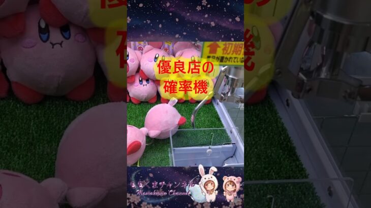 【クレーンゲーム】優良店なら確率待ちが正解！？ミニクレ検証 in クレーンゲーム倉庫本庄【ももくま】 #確率機 #クレーンゲーム #攻略