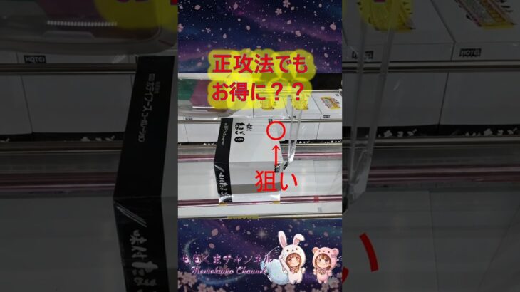 【クレーンゲーム】意外とお得！？正攻法「縦ハメ」は必須スキル！ in もってきーなカンケンプラザ【ももくま】 #橋渡し設定 #クレーンゲーム #攻略