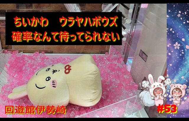 【クレーンゲーム】ちいかわウラヤハボウズを確率無視で獲りたい！ in 回遊館伊勢崎【ももくま #53】 #確率機 #クレーンゲーム #攻略