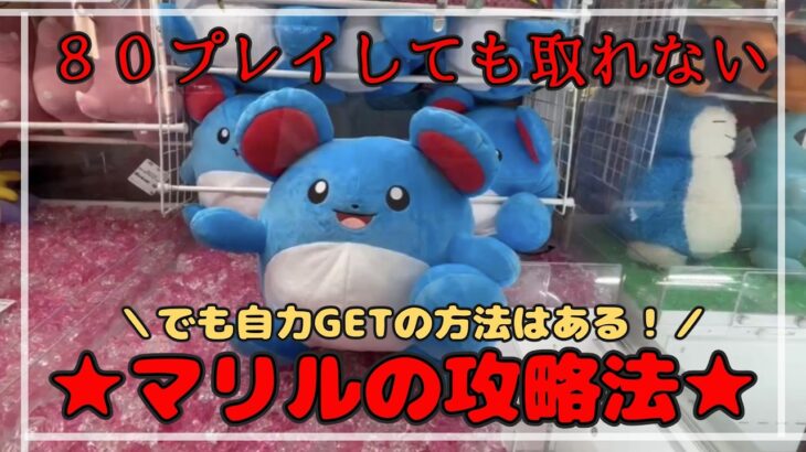 【８０プレイの結果】マリルの攻略しらないと大沼り決定…！？　#ポケモン #pokemontcg  #ぬいぐるみ #クレーンゲーム