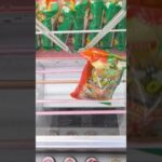 ベネクス川越店でチーズおかきと韓国のりの景品をゲット #shorts