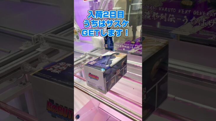 残りわずかなサスケ橋渡し攻略しました！#shorts