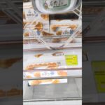 万代書店川越店で低糖質クロワッサンとロイヤルブレッドの景品をゲット #shorts