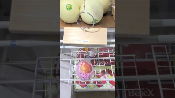 ベネクス浦和店でマンゴーの果物の景品をゲット #shorts